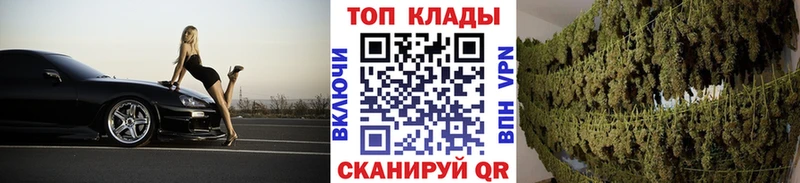 Виды наркоты Североуральск Конопля  Галлюциногенные грибы  ГАШ  Alpha PVP  Меф мяу мяу  Cocaine 