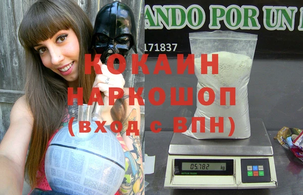 мдпв Няндома
