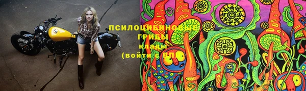 мяу мяу мука Алексеевка