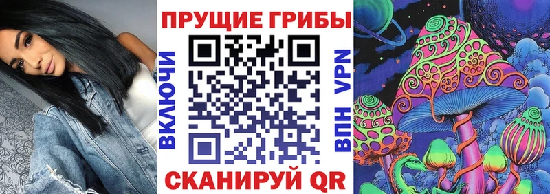 Псилоцибиновые грибы GOLDEN TEACHER  hydra ТОР  Североуральск  как найти закладки 